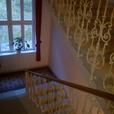 Pension Villa Anita Mariánské Lázně Εξωτερικό φωτογραφία